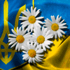 image.php