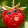 Аватар для strawberries