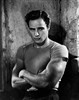 Аватар для Brando