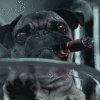 Аватар для Черли