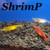 Аватар для shrimp