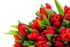 Аватар для AmaliaRoot