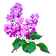 Аватар для sweet