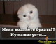 Аватар для Andrew_B