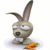 Аватар для Кролик