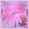Аватар для Цветок