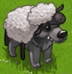 Аватар для Чорна вівця