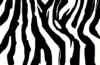 Аватар для Zebr