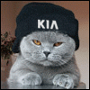 Аватар для gray cat