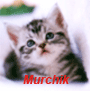 Аватар для murchik